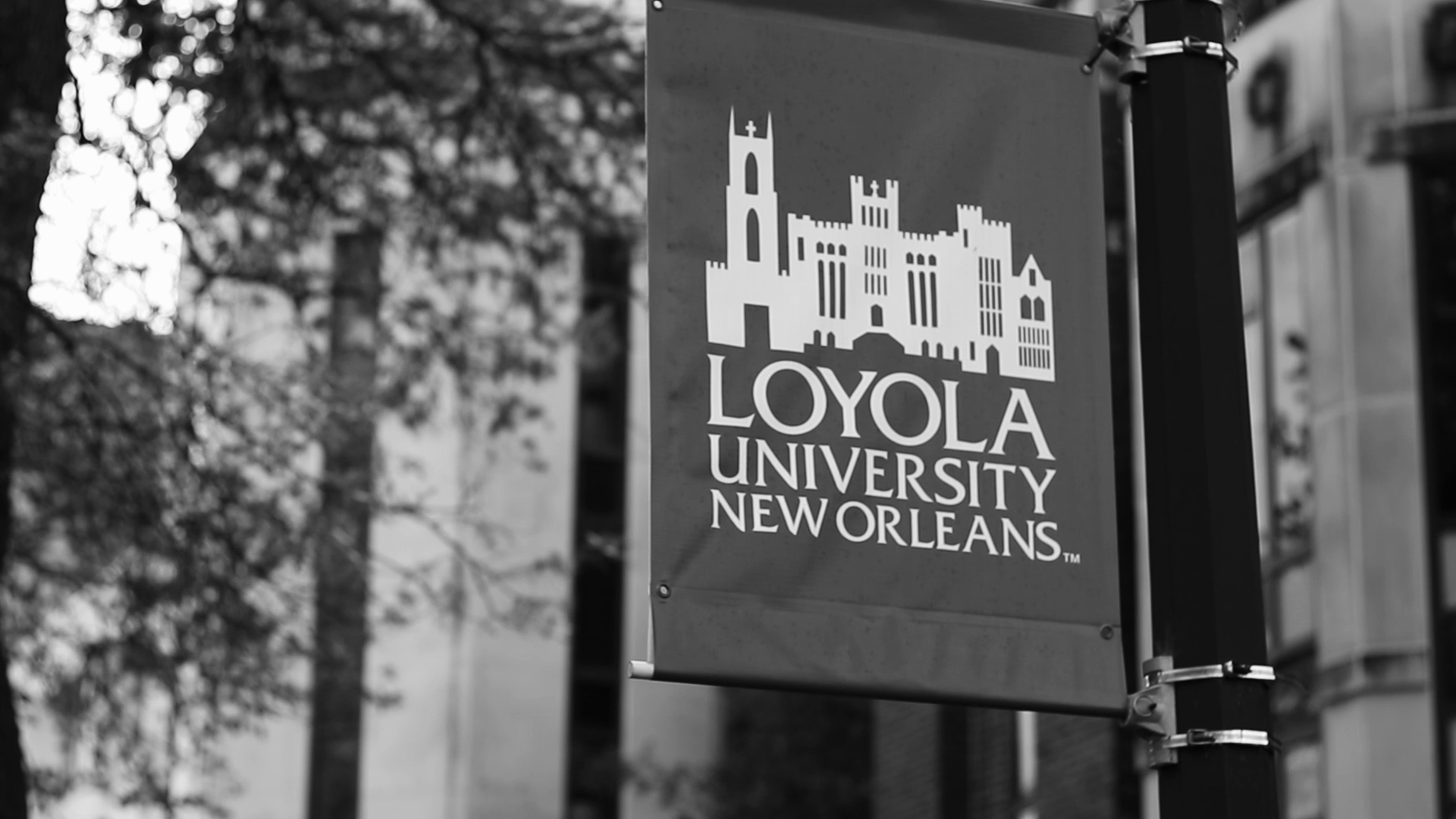 Loyola – Unleash Your Potential